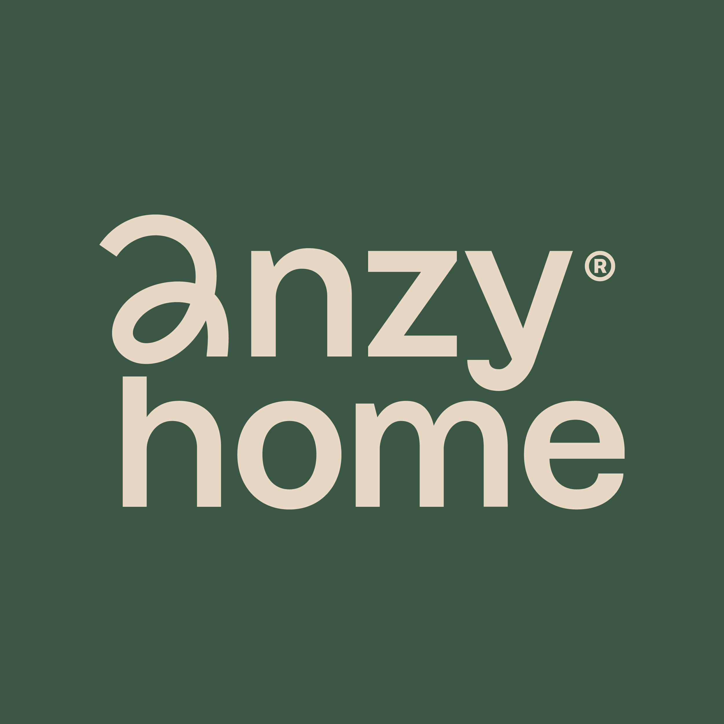 Anzy Home